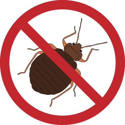 Stopping Bed Bugs – Rutgers Shares Best (And Worst) Techniques