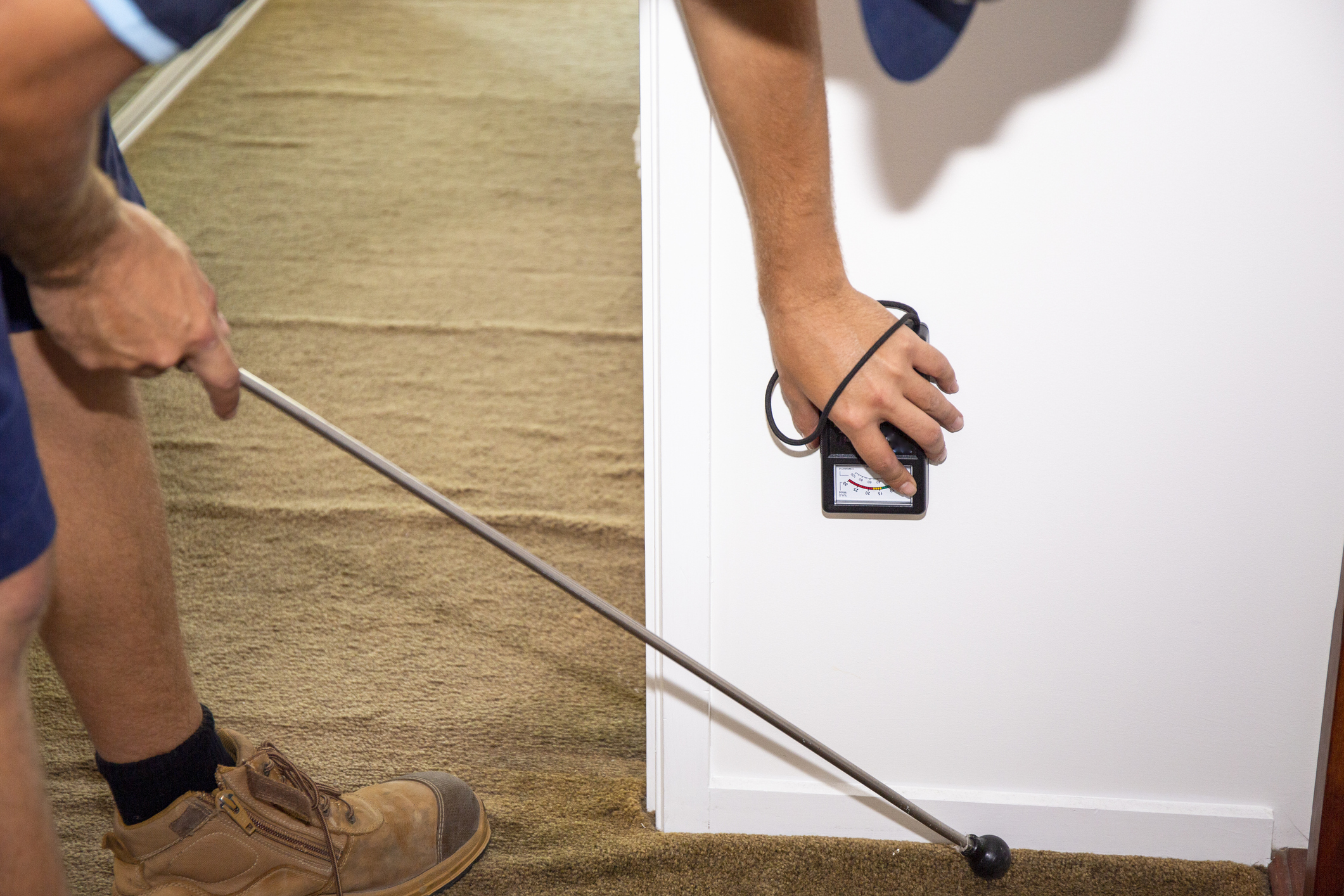 Why Even New Homes Need A Termite Inpection - Allison Pest Control ...