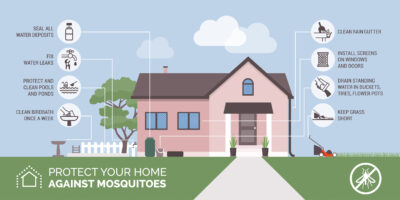 What to Know About NJ Mosquitoes this Season Part 1