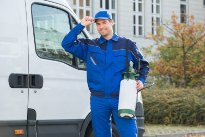 Top Tips On How and When To Hire a NJ Pest Control Expert