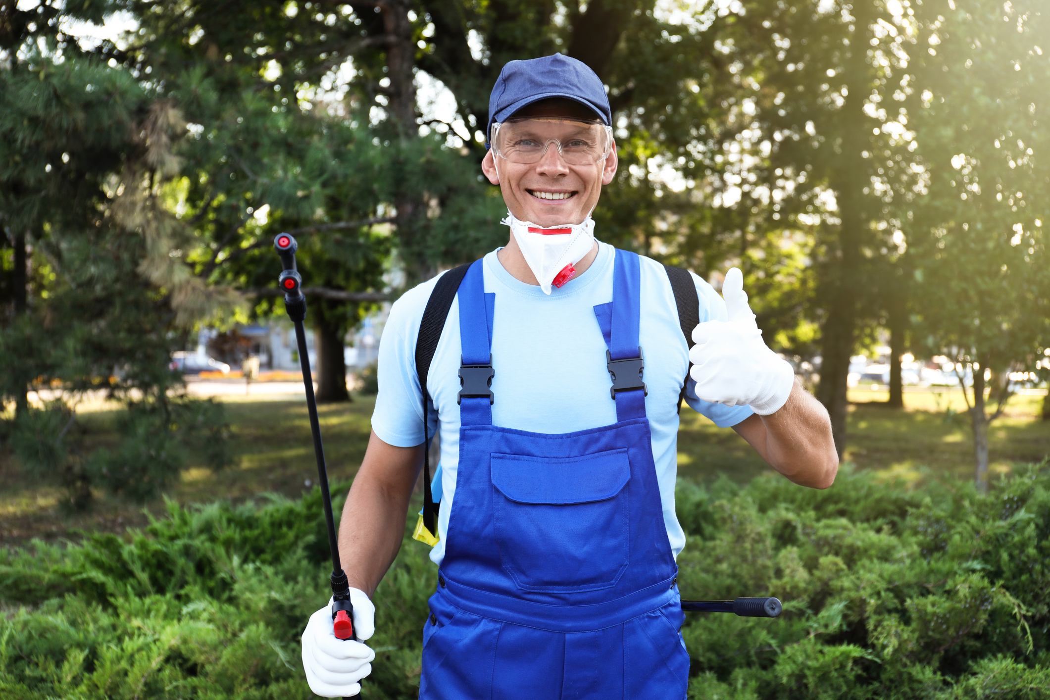 Schedule a Free Pest Inspection - Allison Pest Control - Since 1917