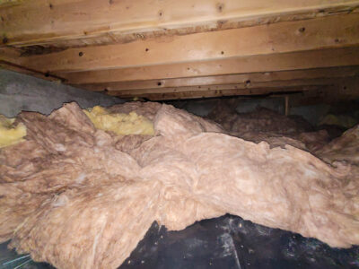 How to Avoid Rodent Damage in Attics and Crawlspaces