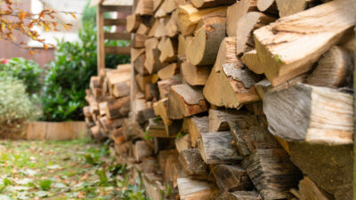 Firewood Storage for Pest Prevention