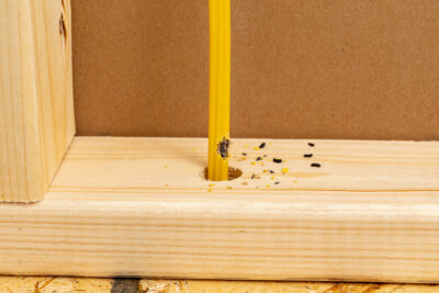 Fire Hazards You Didn’t Know About: Pests and Electrical Wiring