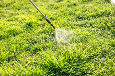 June Mosquito Forecast for Monmouth and Ocean Counties